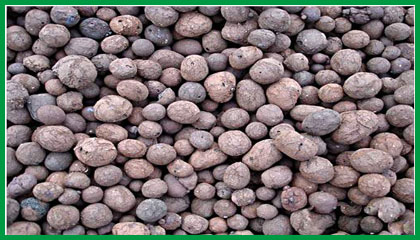 江西陶粒廠 園林綠化陶粒 建筑保溫陶粒價(jià)格 回填陶粒批發(fā)